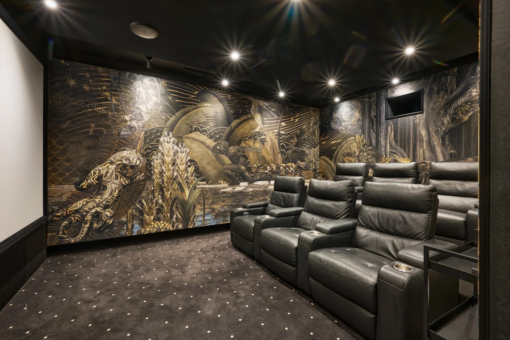 Private Cinema at Villa Palace de Lys